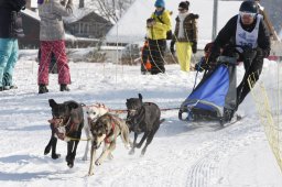 Lenk 2012 SM